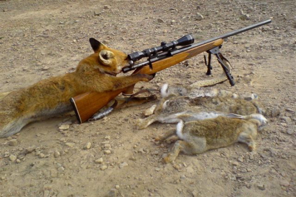 Fox Hunter