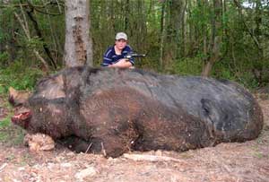 Click on this boy, his revolver and this big pig for an even better photo!