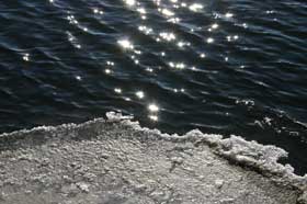 Foamy ice crystals