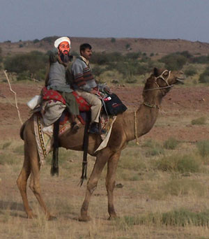 Osama bin Laden's Camel Driver